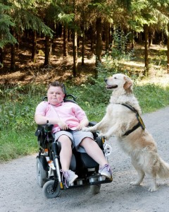 Jesse Verschueren Jesse Verschueren