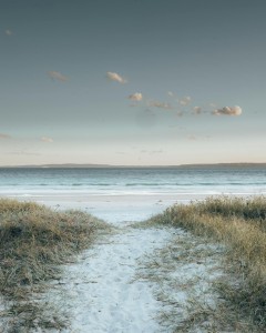 pexels-ben-mack-6775294