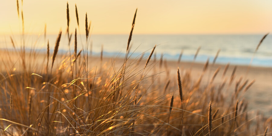 AdobeStock_470995508
